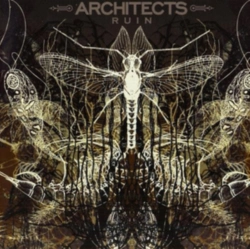 Capa do artigo Ruin - CD