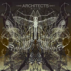 Capa do artigo Ruin - CD