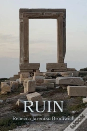 Capa do artigo Ruin