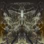 Ruin - Vinil - Preview