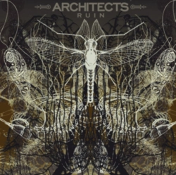 Capa do artigo Ruin - Vinil