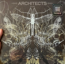 Capa do artigo Ruin - Vinil