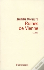 Ruines De Vienne