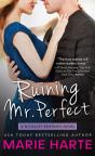 Ruining Mr. Perfect - Preview