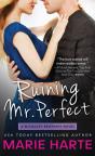 Ruining Mr. Perfect - Preview