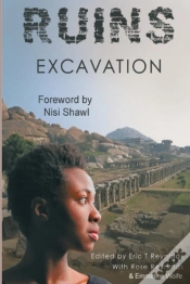 Capa do artigo Ruins Excavation