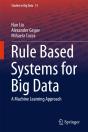 Rule Based Systems For Big Data - Preview