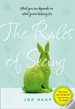 Capa do artigo Rules Of Seeing