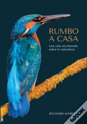 Capa do artigo Rumbo A Casa