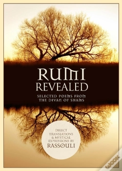 Capa do artigo Rumi Revealed