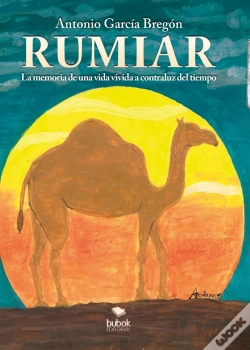 Capa do artigo Rumiar