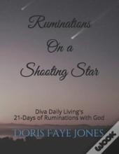 Ruminations On A Shooting Star