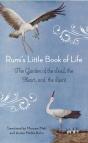 Rumi'S Little Book Of Life - Preview