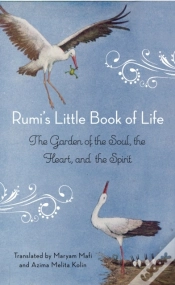 Capa do artigo Rumi