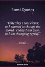 Rumi'S Quotes - Preview