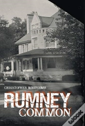 Capa do artigo Rumney Common