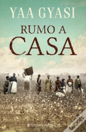 Capa do artigo Rumo a Casa