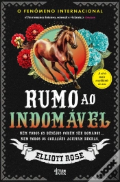 Capa do artigo Rumo ao Indomável