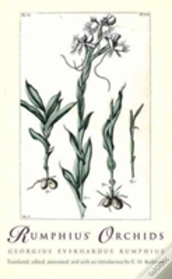 Capa do artigo Rumphius' Orchids