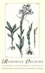Rumphius' Orchids - Preview