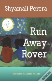 Capa do artigo Run Away Rover