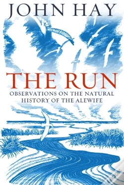 Capa do artigo Run