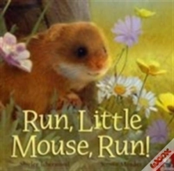 Capa do artigo Run, Little Mouse, Run!