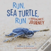 Capa do artigo Run, Sea Turtle, Run