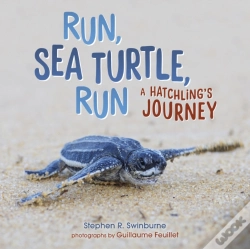 Capa do artigo Run, Sea Turtle, Run