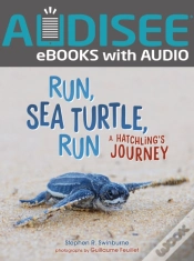 Capa do artigo Run, Sea Turtle, Run