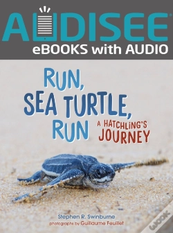 Capa do artigo Run, Sea Turtle, Run