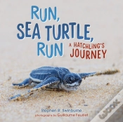 Capa do artigo Run, Sea Turtle, Run