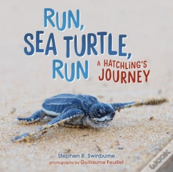 Capa do artigo Run, Sea Turtle, Run