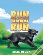 Capa do artigo Run Shadow Run