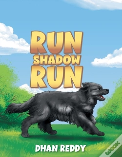 Capa do artigo Run Shadow Run