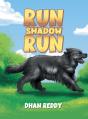 Run Shadow Run - Preview