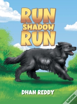Capa do artigo Run Shadow Run