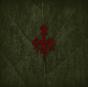 Runaljod - Yggdrasil - CD - Preview