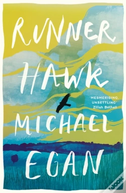Capa do artigo Runner Hawk