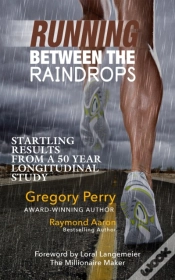 Capa do artigo Running Between The Raindrops