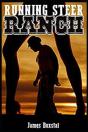 Running Steer Ranch - A Cowboy Romance - Preview