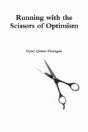 Running With The Scissors Of Optimism - Preview