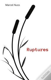 Capa do artigo Ruptures