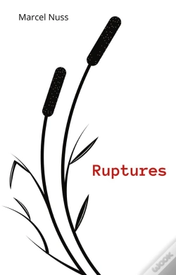 Capa do artigo Ruptures