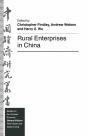 Rural Enterprises In China - Preview