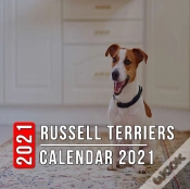 Capa do artigo Russell Terriers Calendar 2021