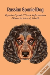 Russian Spaniel Dog