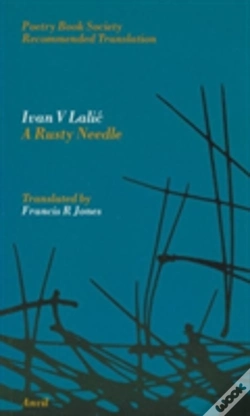 Capa do artigo Rusty Needle