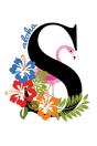 S Aloha - Preview