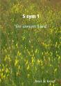 S Sym 1 For Concert Band - Preview